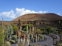 Kaktuspark und Las Calderas